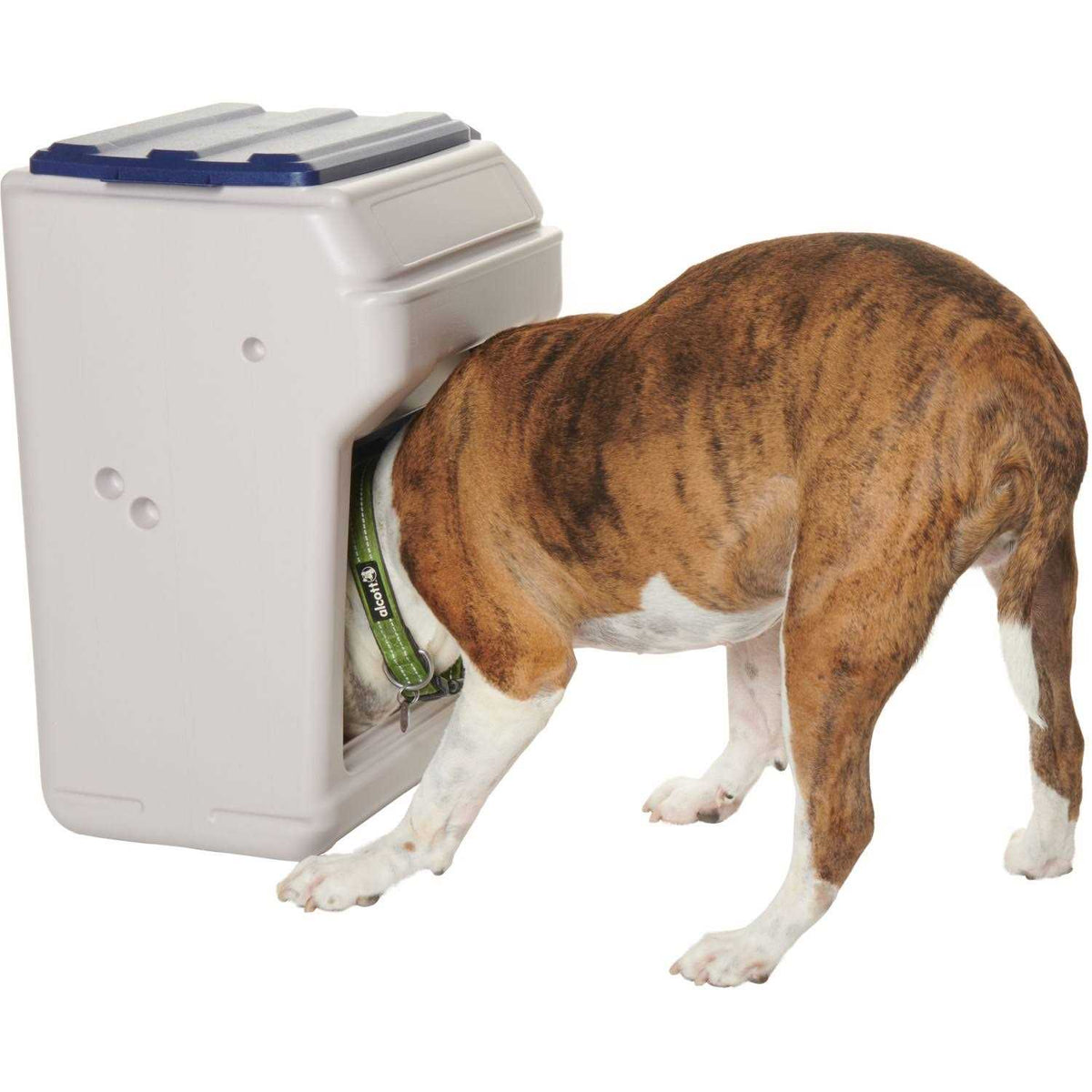 25 Pet Feeder B8262