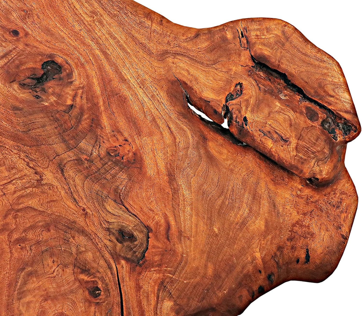 Natural Wood Edge Teak Coffee Table with Clear Lacquer Finish and Metal Hairpin Legs G64618