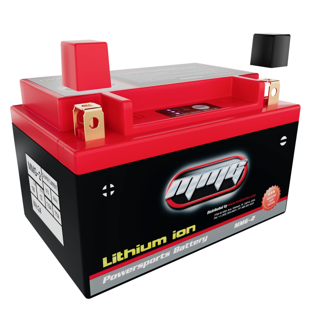 12V 160CCA Lithium Ion Sealed Powersports Battery D57849