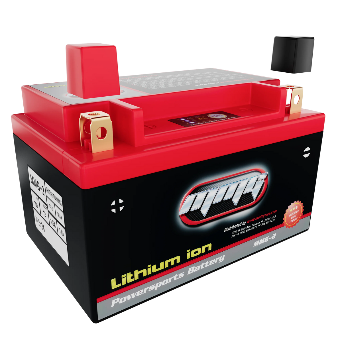 12V 160CCA Lithium Ion Sealed Powersports Battery D57849