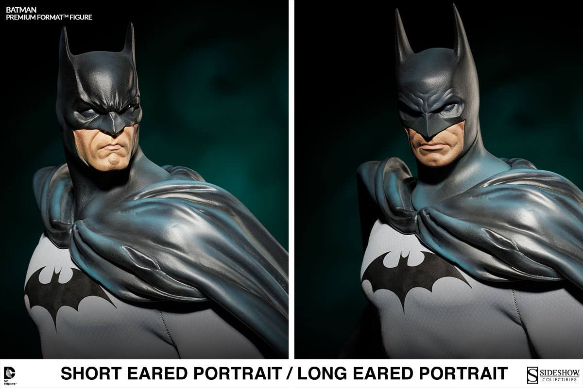 Premium Format Figure J943