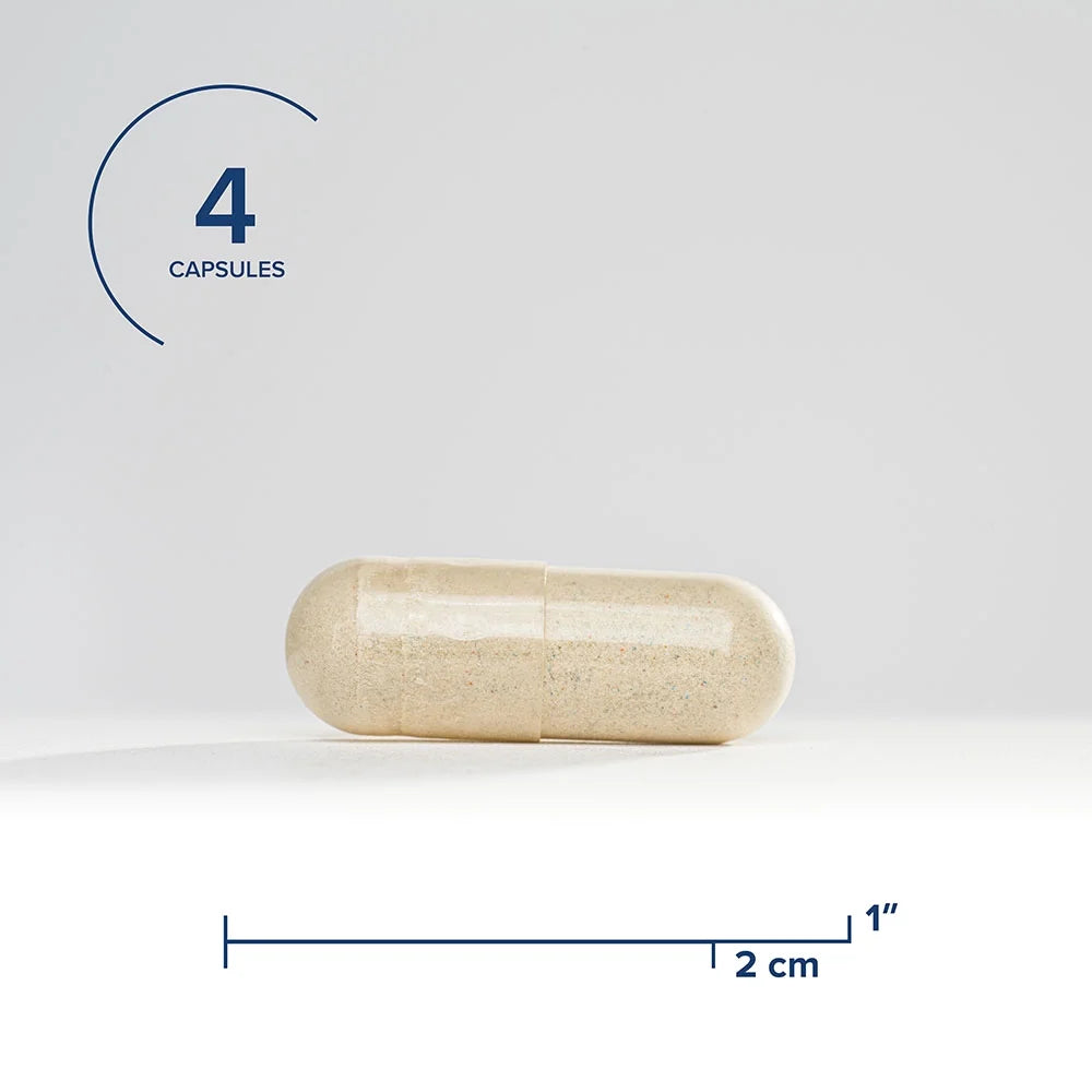 120 Capsules Multivitamin with Iron and Active B Vitamins U754416