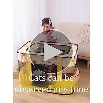 Portable Foldable Pet Playpen A948853