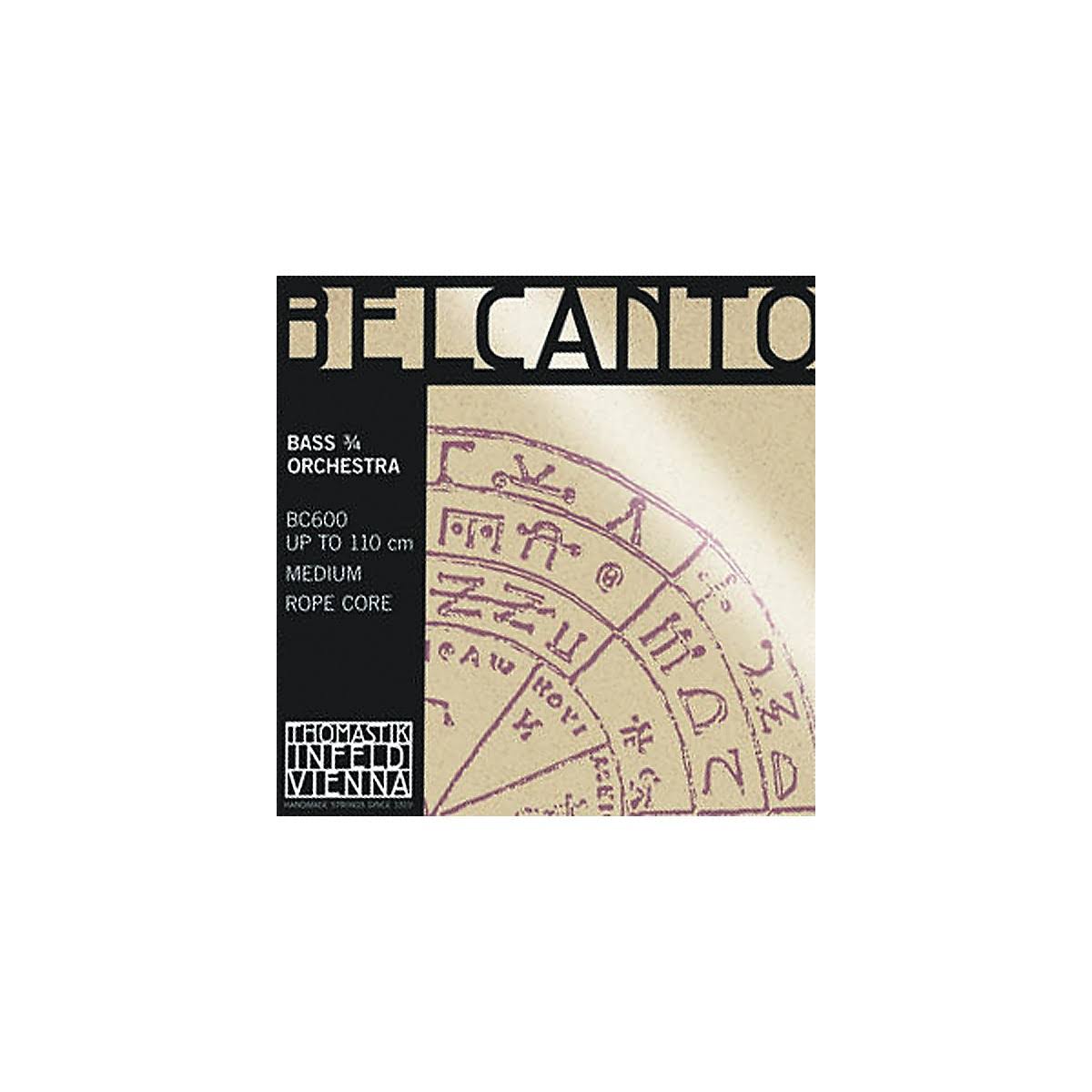 3/4 Size Double Bass Strings Solo E String A1693