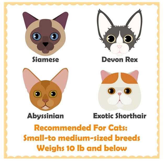 51-in Plush Multi-Cat Tree & Condo U6160