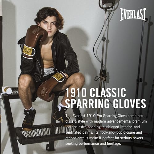 Boxing Gloves with Hook and Loop Z934414