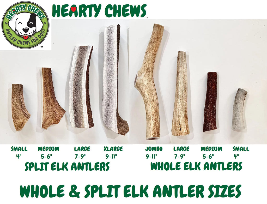 Elk Antler Dog Bone Q115838