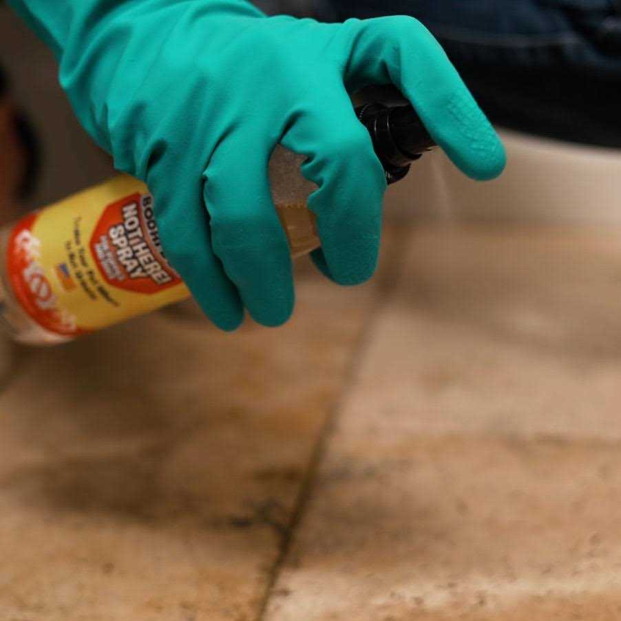 Dog Training Spray E7265
