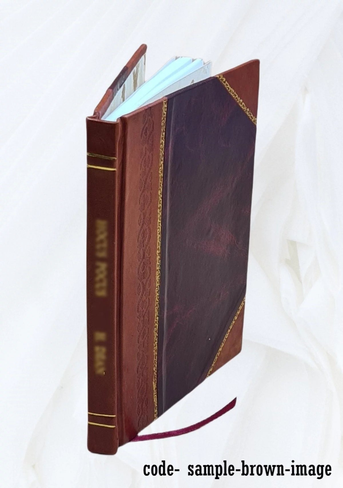 Ohio Libraries Magazine Exchange 1904 Leather Bound Z337