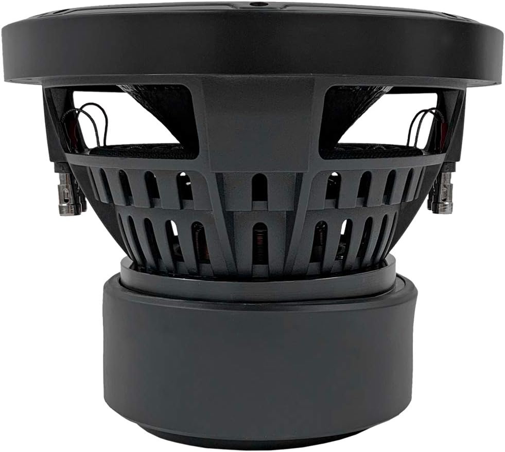 10 Inch 1600 Watt Dual 2 Ohm Car Audio Subwoofer C56543