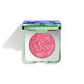Anemone Blush O82052