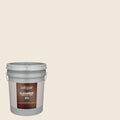 Flat Creamy Exterior Paint (5-Gallon) B659068