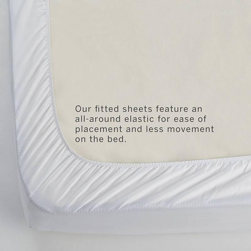 Purple Twin Fitted Sheet V64179