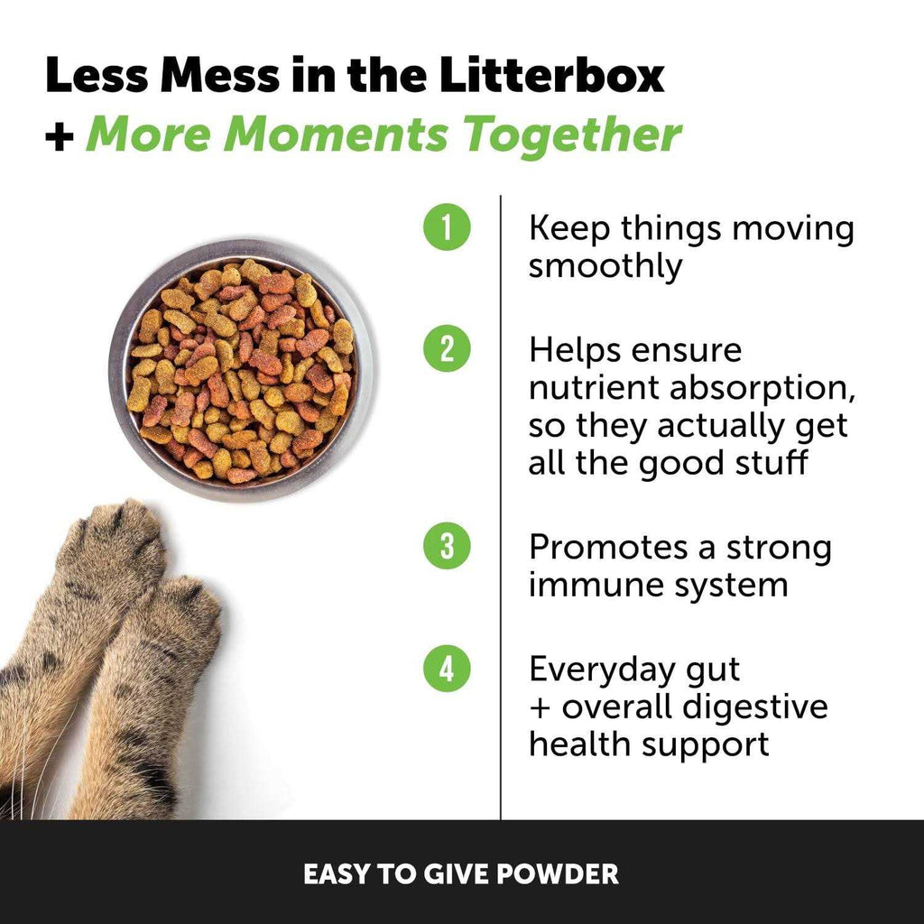 Probiotics for Cats Y64442