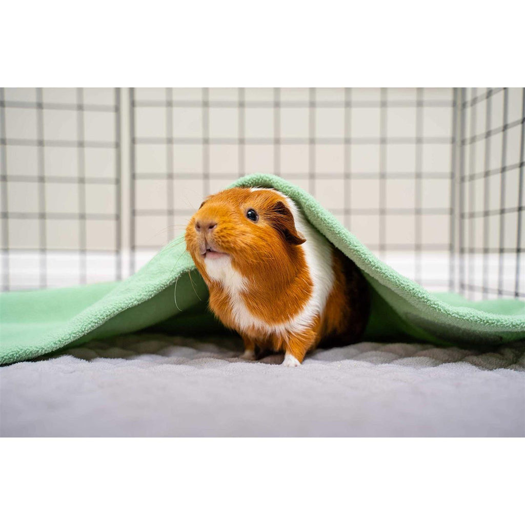 Guinea Pig Fleece Cage Liner W201