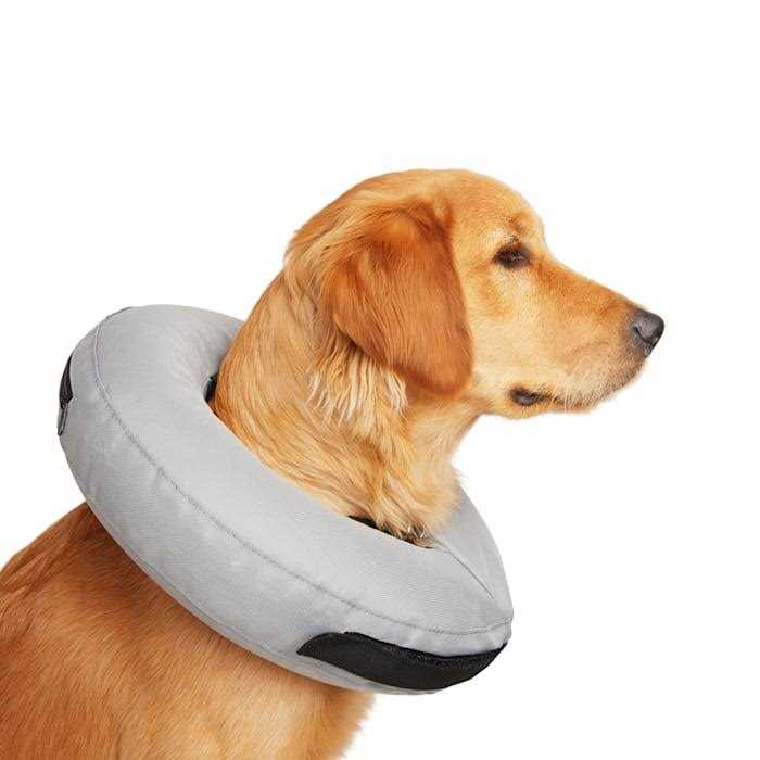 Inflatable Dog Collar J403