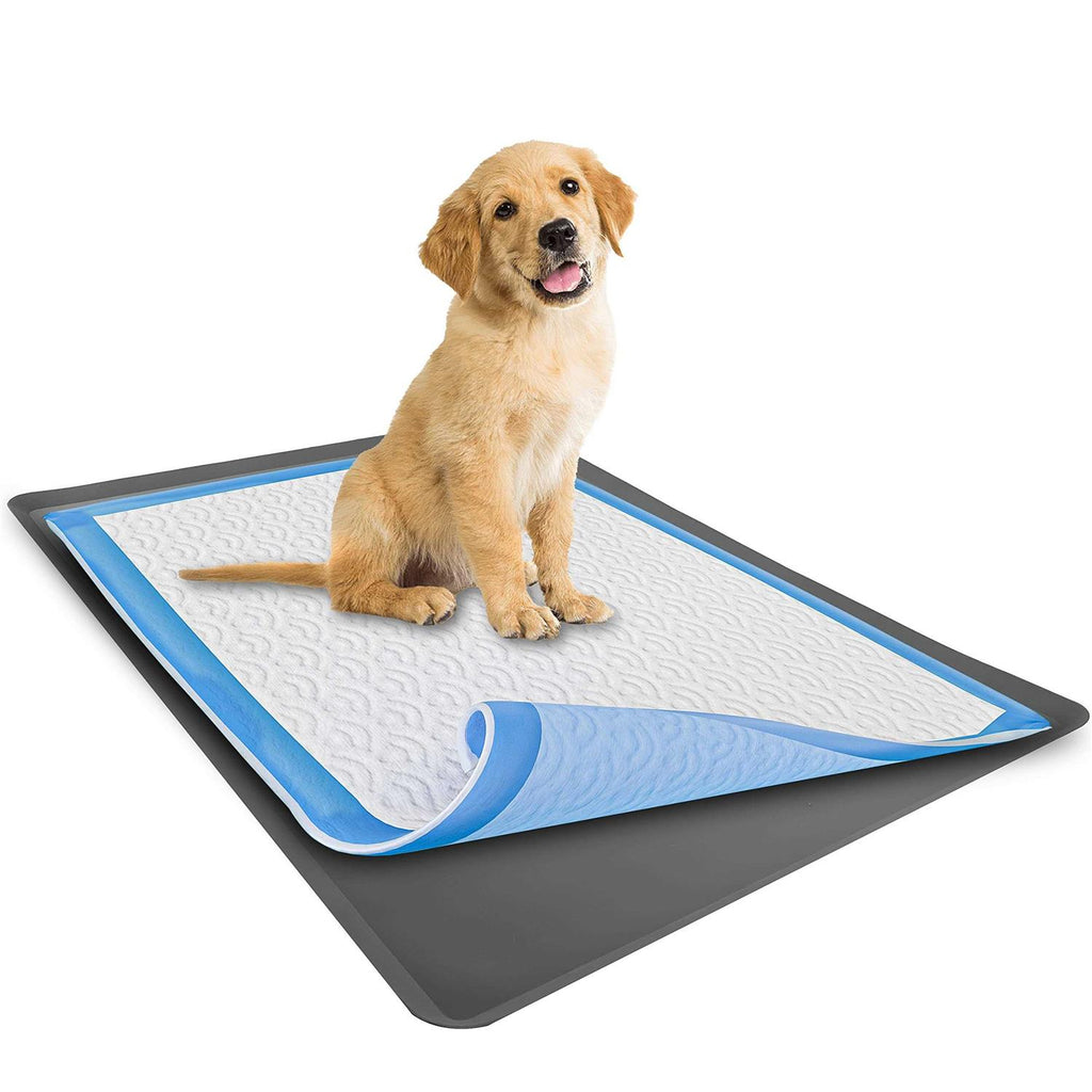 Puppy Pad Holder Tray No Spill F189