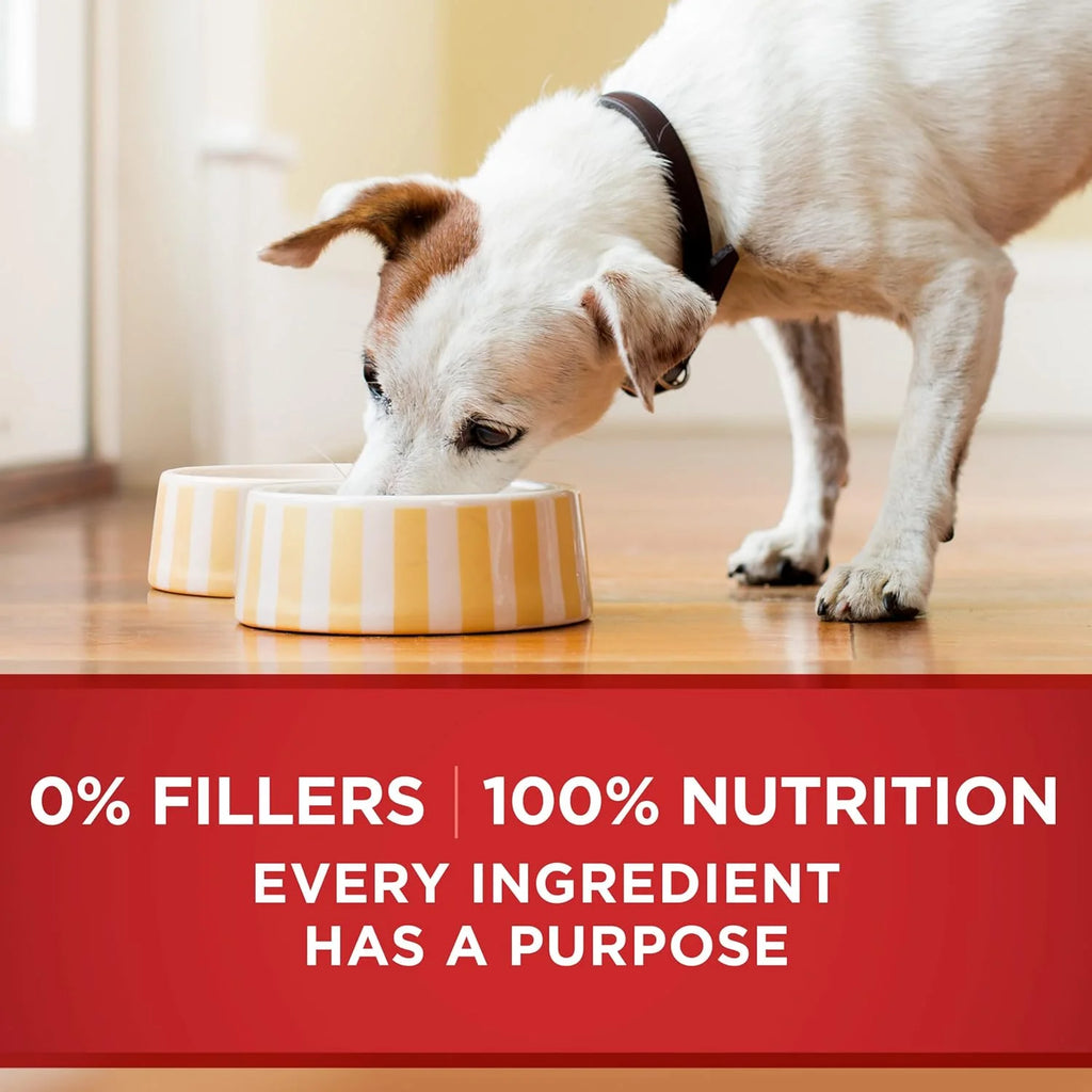 Beef and Barley Entree in Gravy Wet Dog Food 13 oz Cans E34944