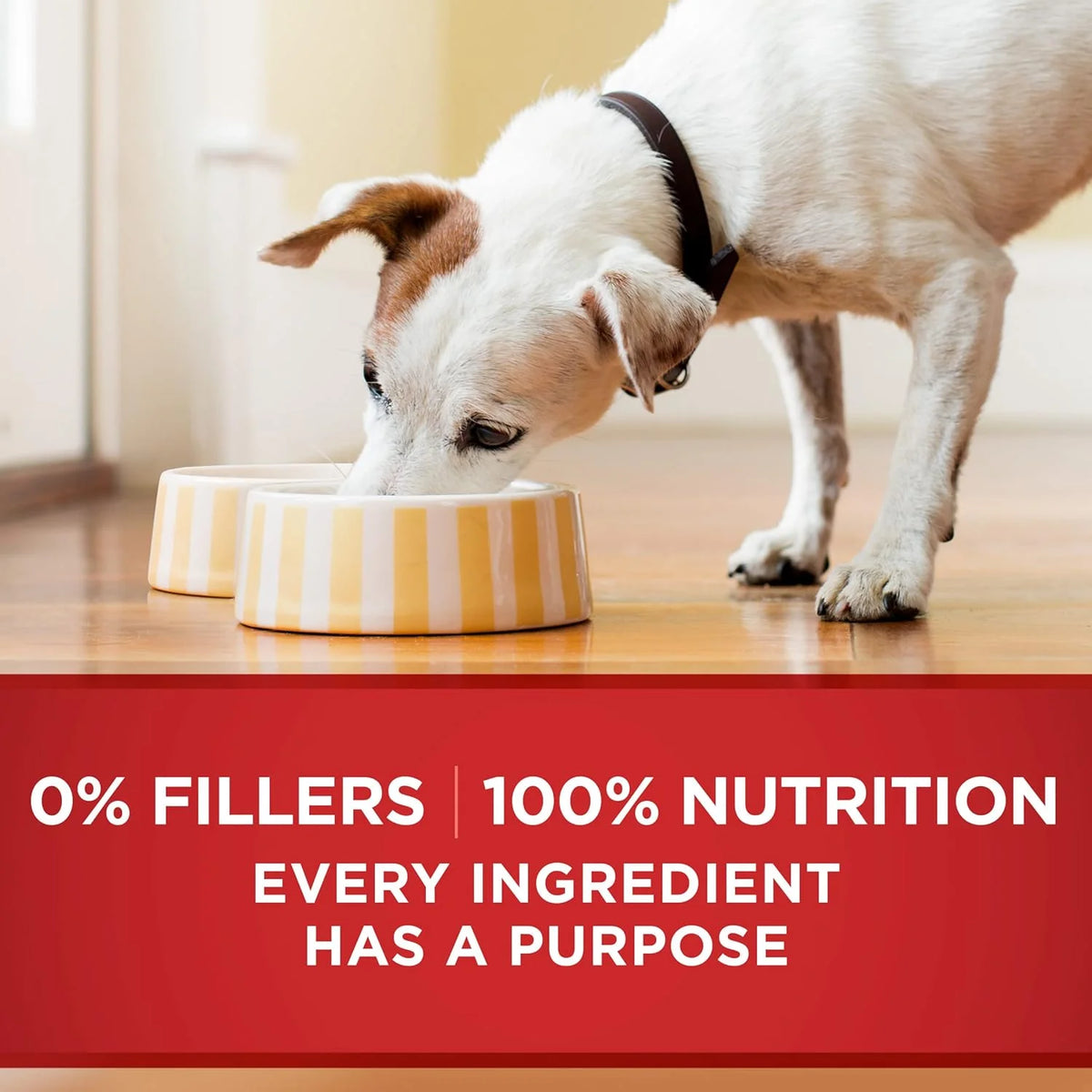 Beef and Barley Entree in Gravy Wet Dog Food 13 oz Cans E34944
