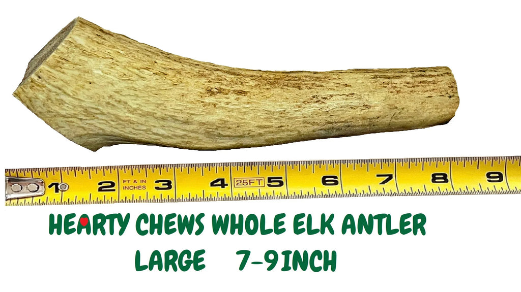 Elk Antler Dog Bone Q115838