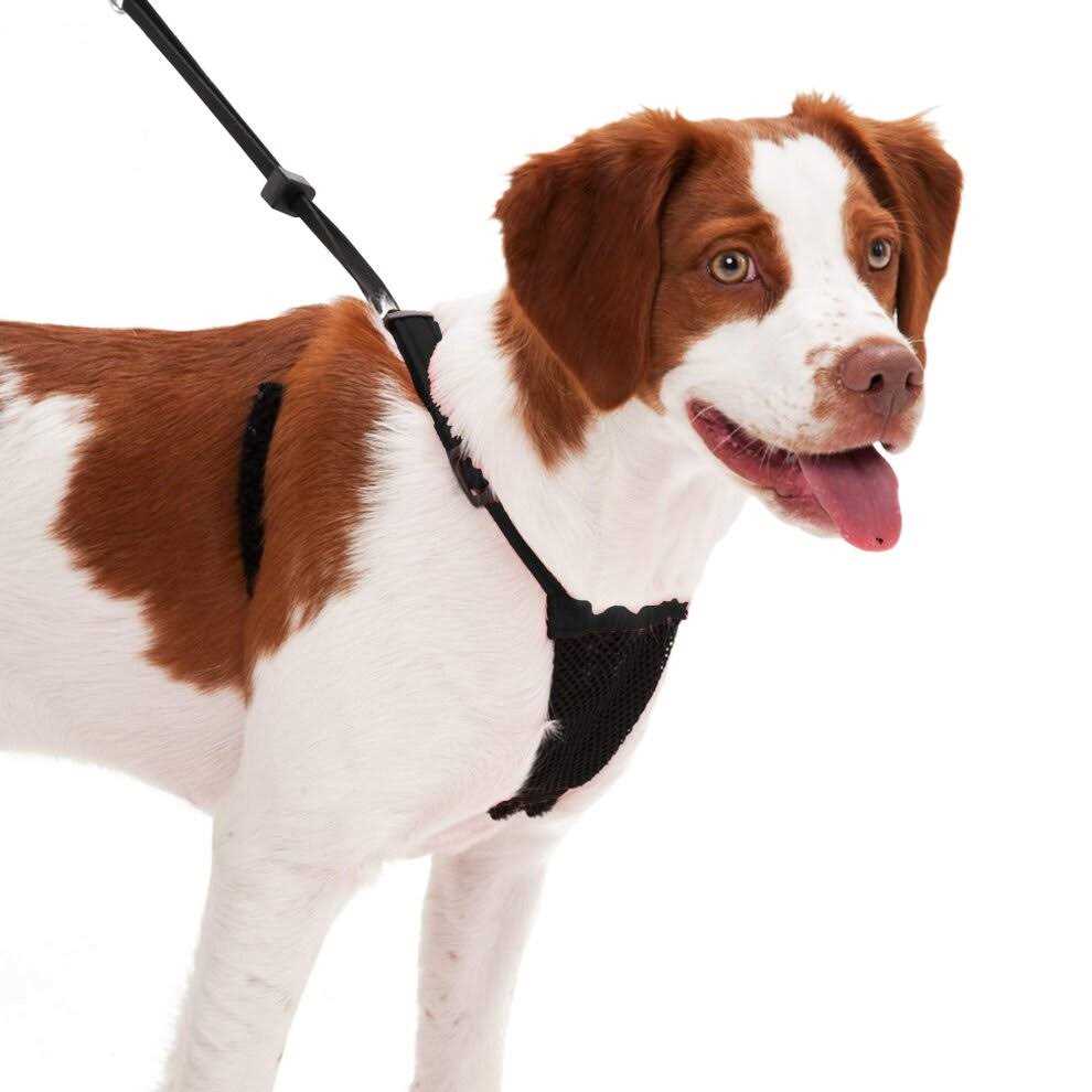 Mesh Non Pull Dog Harness I926008