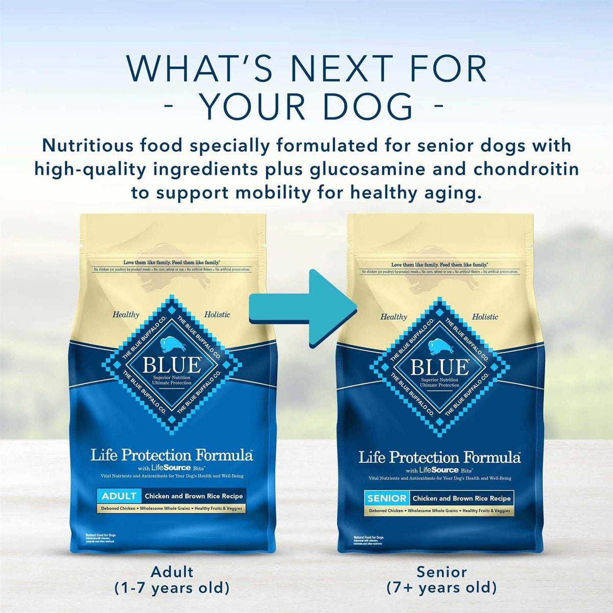 Adult Dry Dog Food Chicken and Brown Rice I437