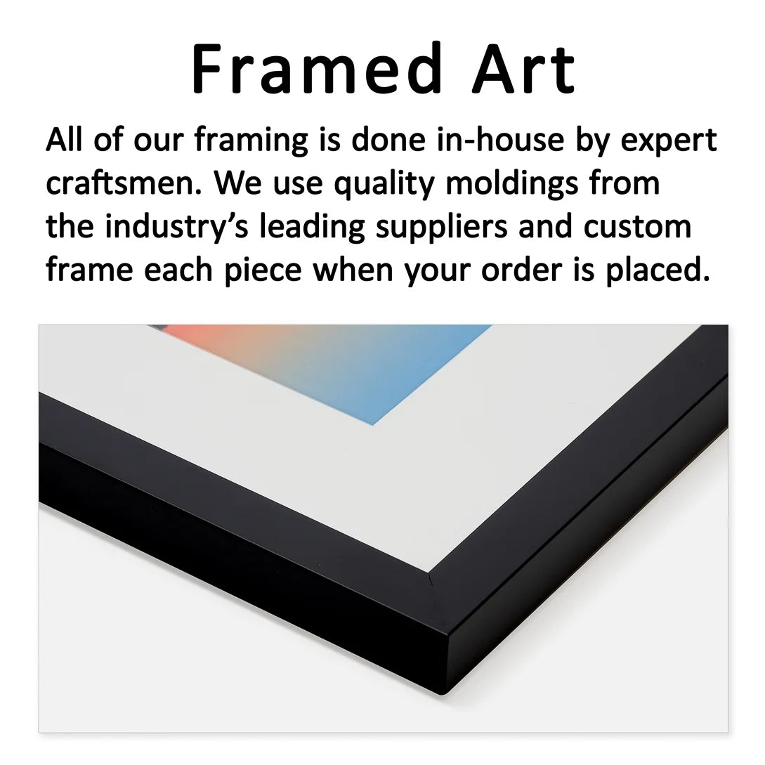 Framed Print H5808