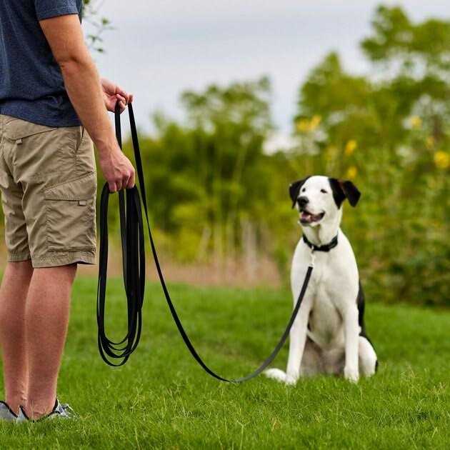 Training Leash L137