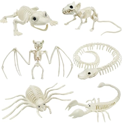5.4ft/165cm Life Size Skeleton with Movable Joints P665285